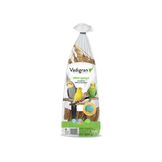 VADIGRAN French Millet Sprays dzeltenas prosa 250 g (20)