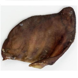ALPHA SPIRIT PORK EAR XL cūku ausis 30 gab.