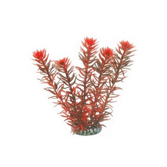 AQUA NOVA plastmasas augs Rotala Indica 20 cm