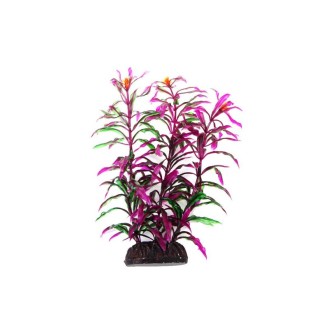 AQUA NOVA plastmasas augs Hygro Araguais 20 cm