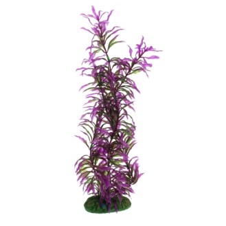 AQUA NOVA plastmasas augs 40 cm