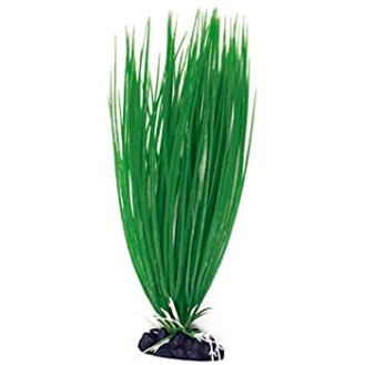 AMTRA ACORUS plastmasas augs vidējs 17 cm 1 gab.