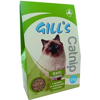 CROCI GILL'S CATNIP kaķumētra kaķiem 20 g (6)