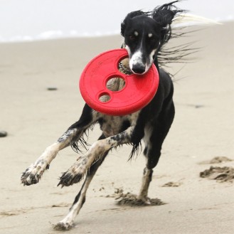hover image