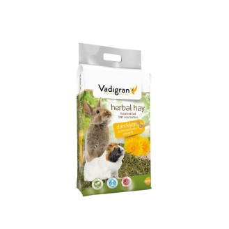 VDG Dandelion siens ar pienenēm 500 g