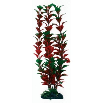 AMTRA LIUDWIGIA plastmasas augs liels 23 cm 1 gab.