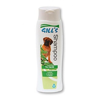 GILL'S GEEN TEA šampūns (ar zaļās tējas ekstraktu) 200 ml (6)
