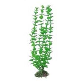 AMTRA ROTALA plastmasas augs vidējs 17 cm 1 gab.