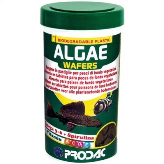 PRODAC ALGAE WAFERS augu plāksnīte zivīm 1200 ml 550 g (3)