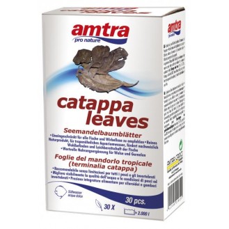 AMTRA CATAPPA lapas 30 gab.